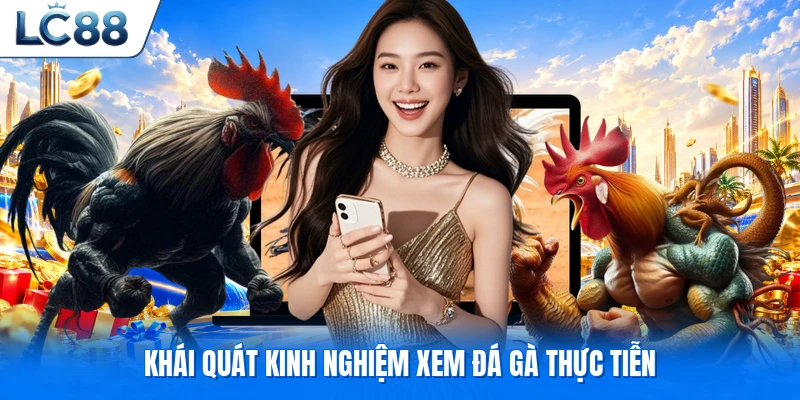Khái quát kinh nghiệm xem đá gà thực tiễn