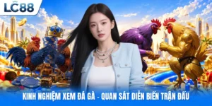 Kinh nghiệm xem đá gà