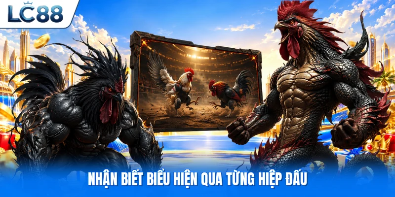 Nhận biết biểu hiện qua từng hiệp đấu