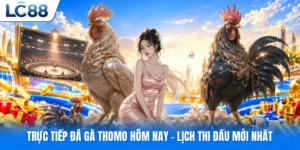 Trực tiếp đá gà thomo hôm nay